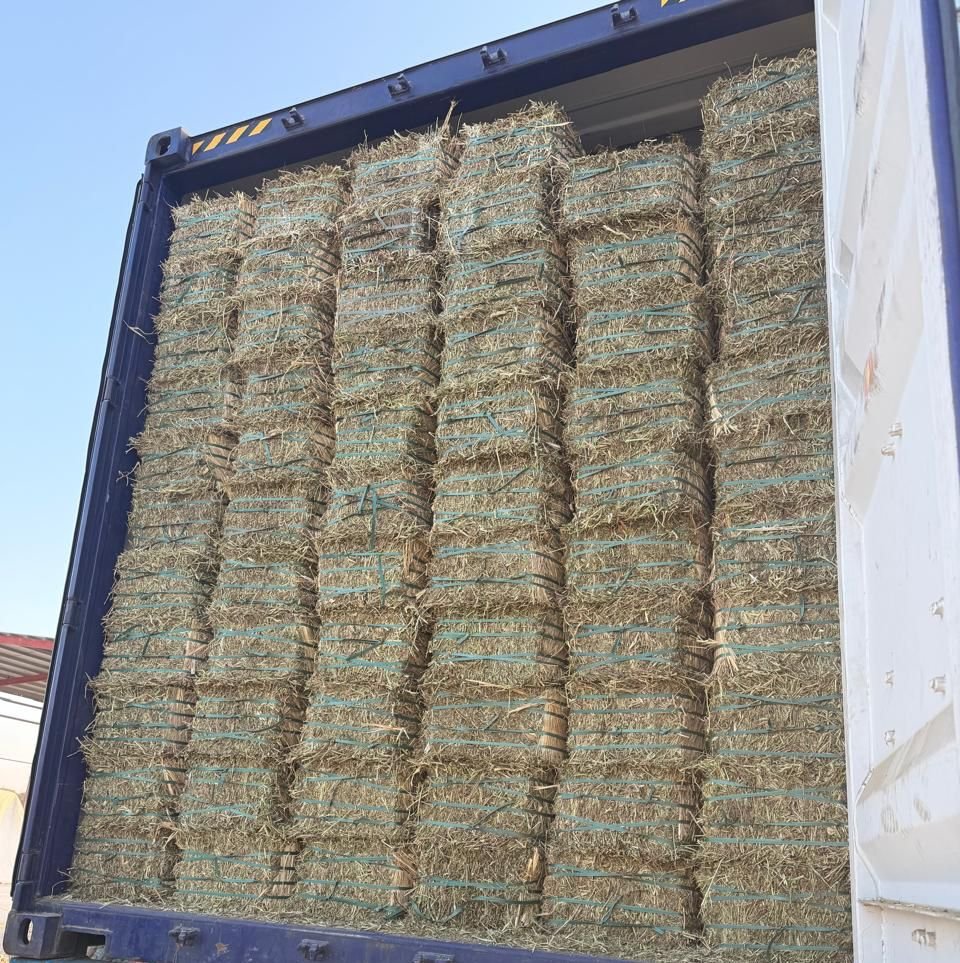 Feed operations