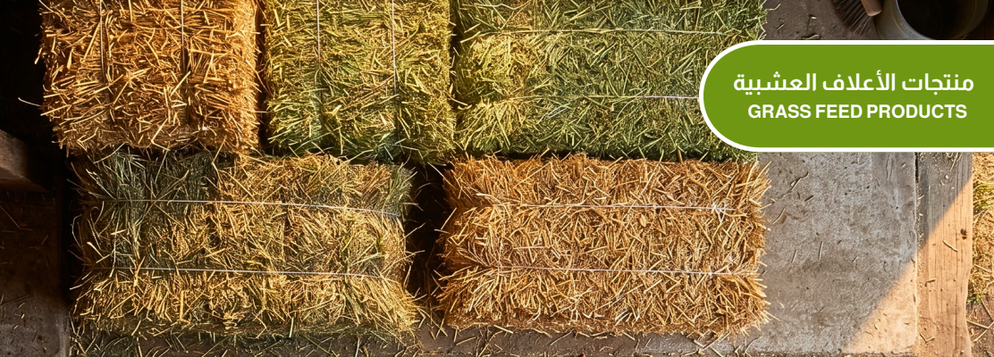 Forage Feed