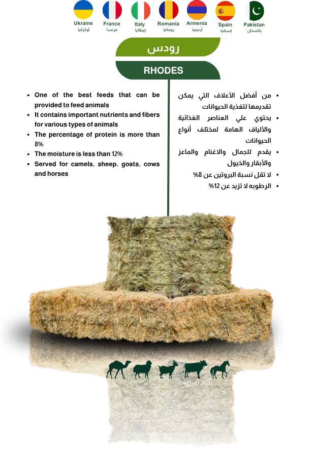 Herbal Products 4