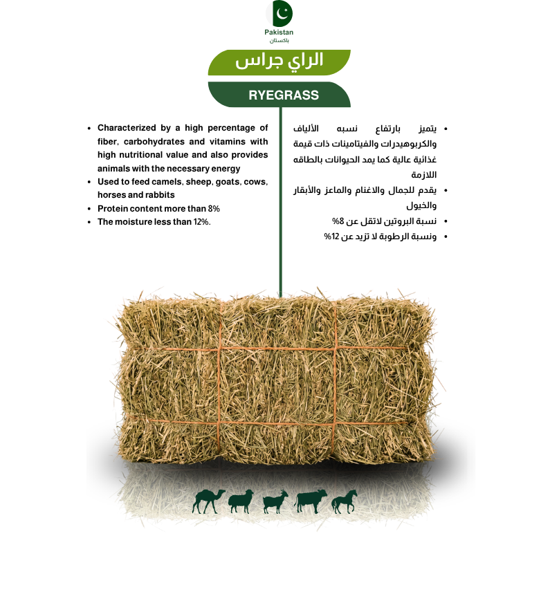 Herbal Products 5