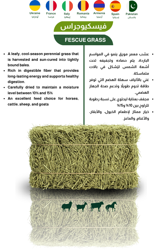 Herbal Products 8