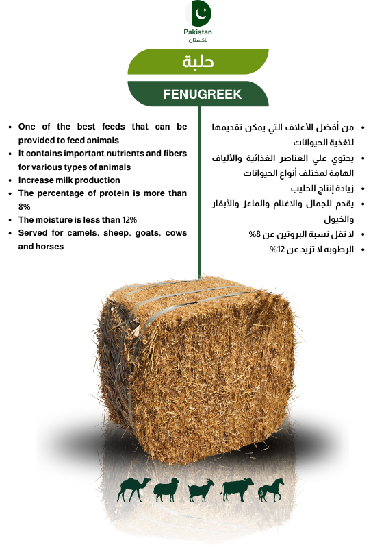 Herbal Products 9