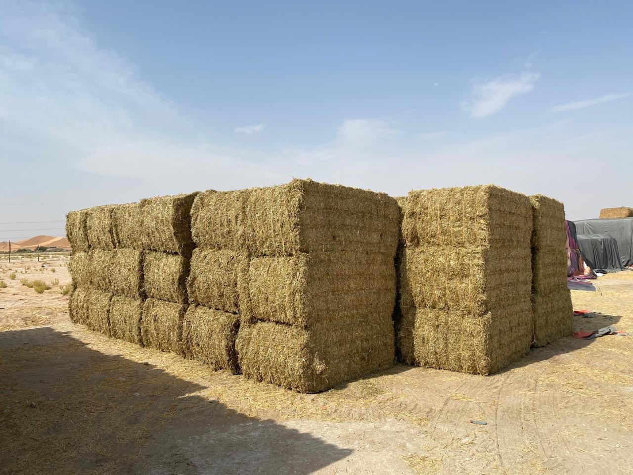 Fodder
