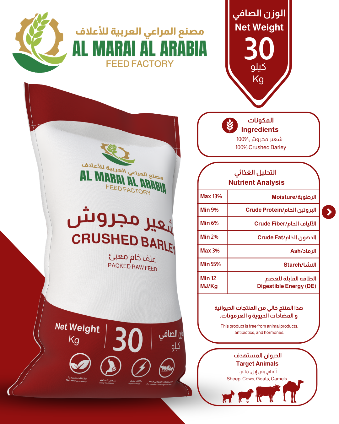 Grain Feed 3